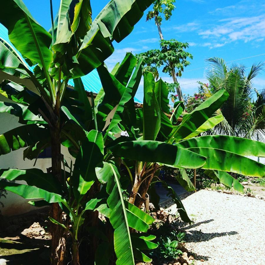 Furaha B&B Kendwa Exterior photo