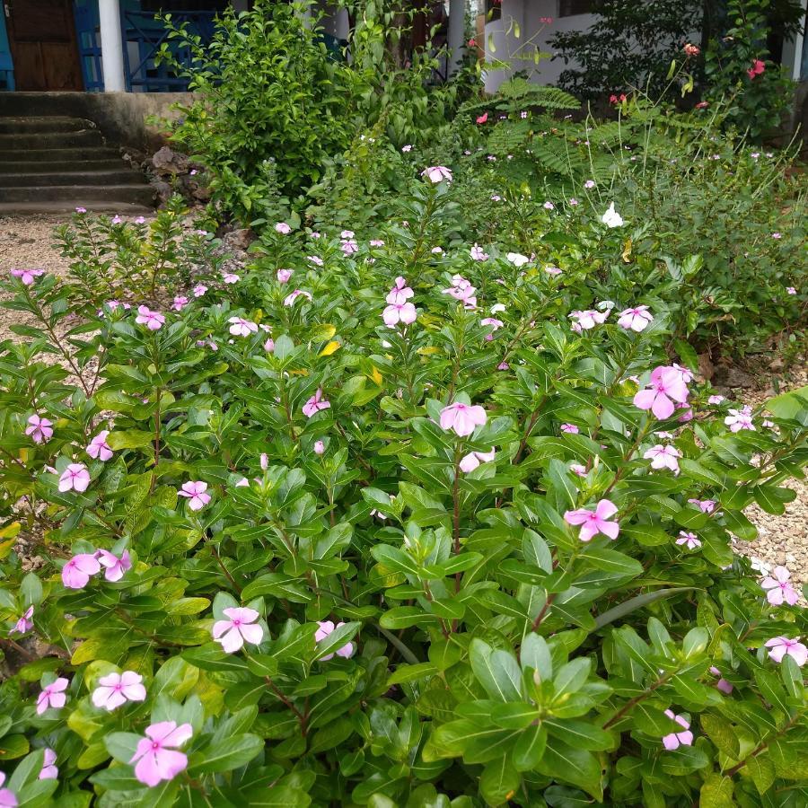 Furaha B&B Kendwa Exterior photo