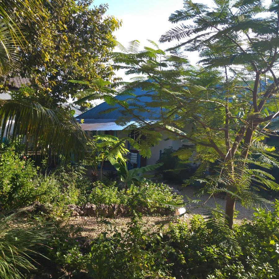 Furaha B&B Kendwa Exterior photo